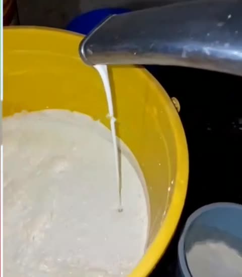 Fresh cream being collected from milk